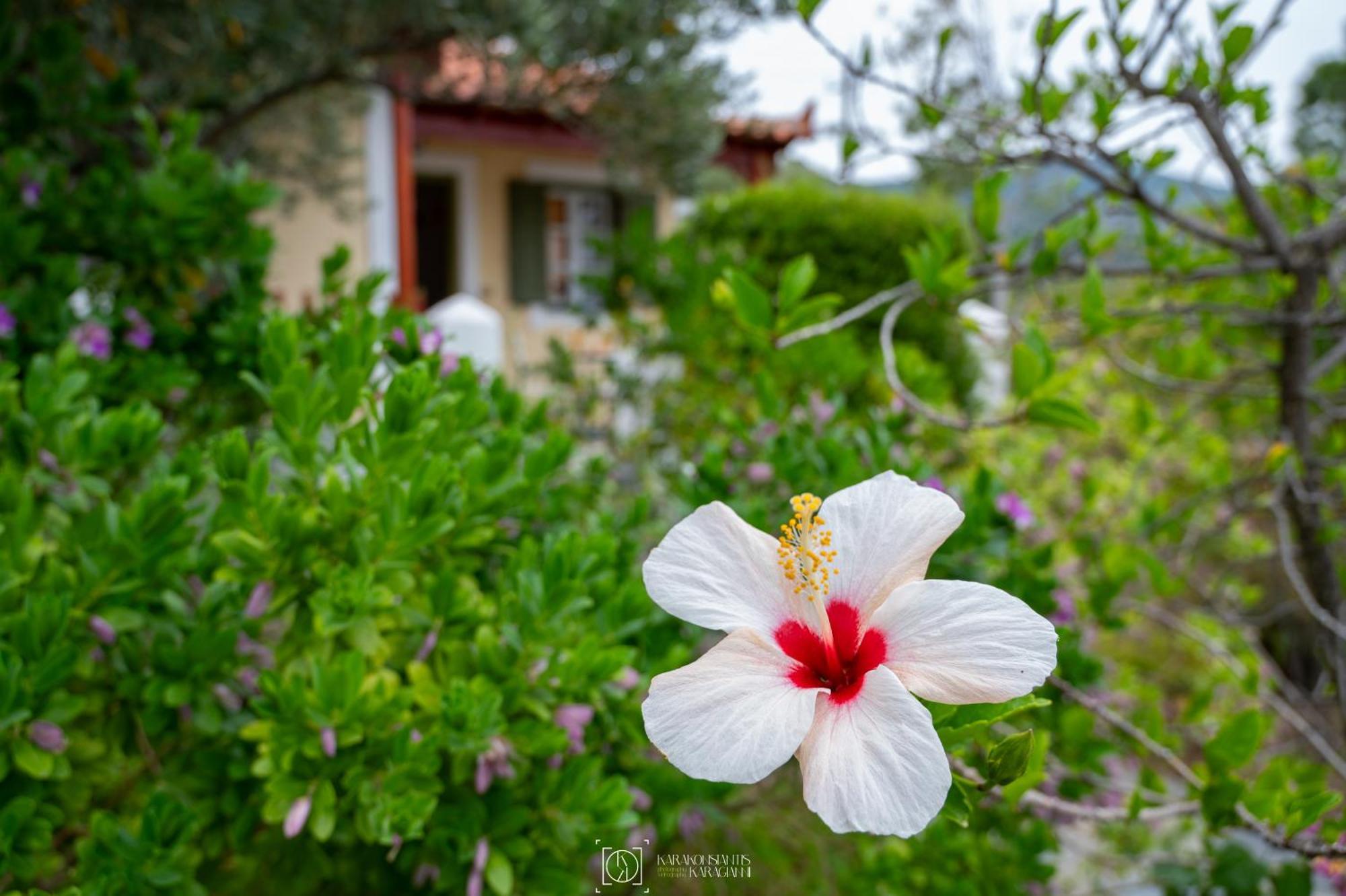 Ferienwohnung Pleiades Samos Marathókampos Exterior foto