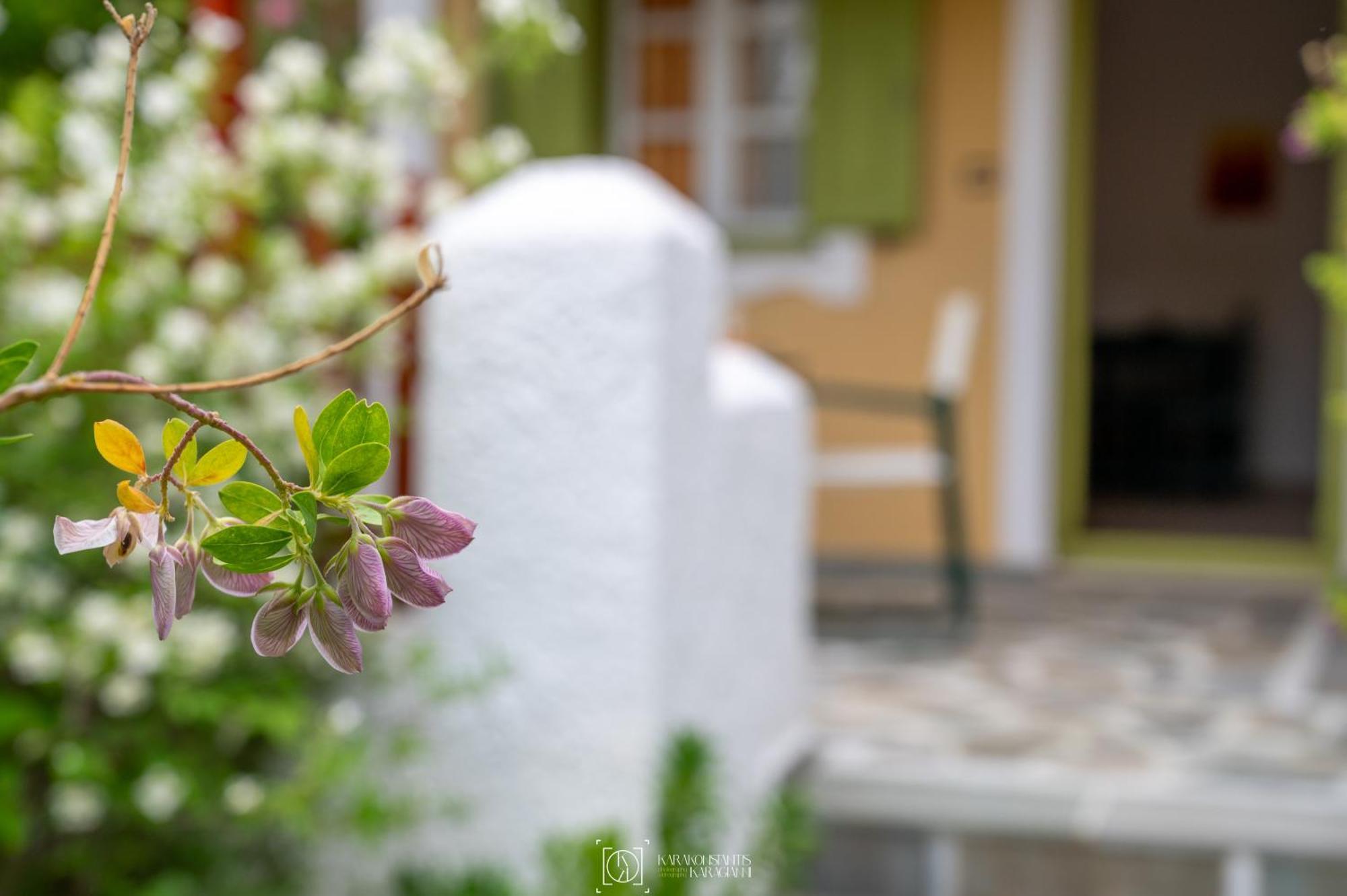 Ferienwohnung Pleiades Samos Marathókampos Exterior foto